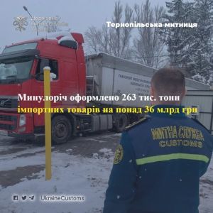 Торік на Тернопільщині оформили 263 тис. тонн імпортних товарів на понад 36 млрд грн