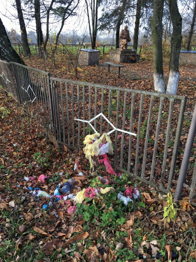 На Тернопільщині невідомі залишили купу сміття просто на узбіччі (фотофакт)