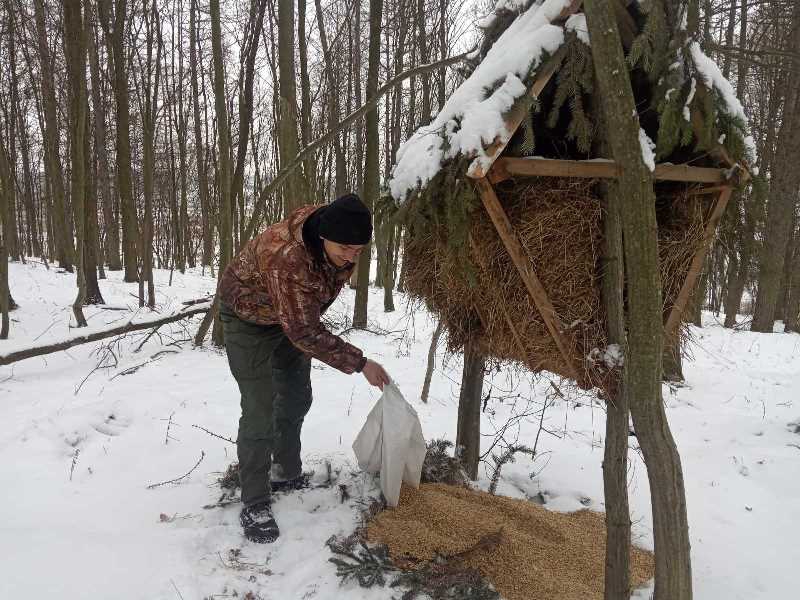 На Тернопільщині для диких тварин створюють солонці