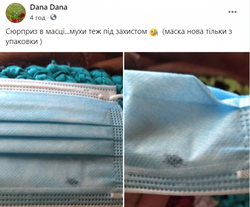 «Ковідна стерильність»: на Тернопільщині жінка придбала маску з мухою (фотофакт)