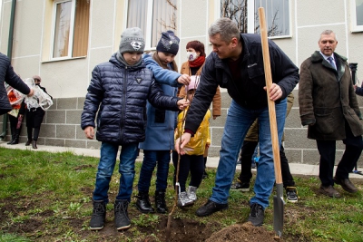 На Тернопільщині висадили груші з подвір&#039;я Лесі Українки