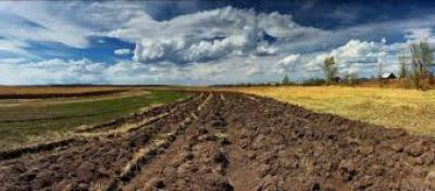Одній із громад на Тернопільщині повернули землі, які незаконно використовувало агропідприємство
