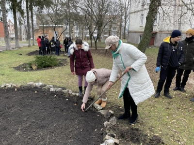 У гімназії на Тернопільщині висадили квіти перемоги (фотофакт)