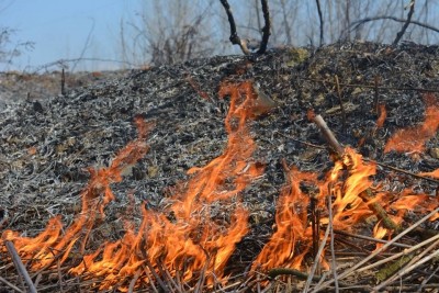 У Тернопільському районі сімдесятип’ятирічний чоловік згорів заживо, спалюючи сміття