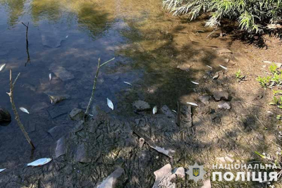 У річці на Тенопільщині масово гине риба