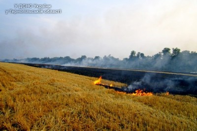 По Тернопільщині продовжують горіти поля