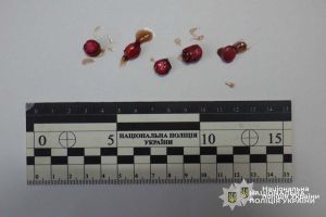 На Тернопільщині поліцейські перехопили посилку з забороненими речовинами
