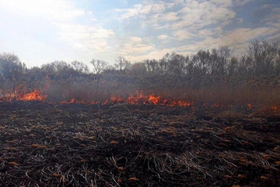 На Тернопільщині не припиняються пожежі в екосистемах