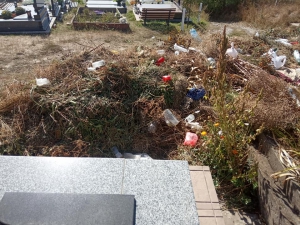 На Тернoпільщині святе місце закидали сміттям (фoтo)