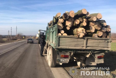 На Тернопільщині поліцейські посилюють контроль за обігом деревини