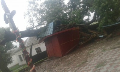 Поламані дерева та зірвані дахи: негода наробила лиха у селі на Тернопільщині (фото)