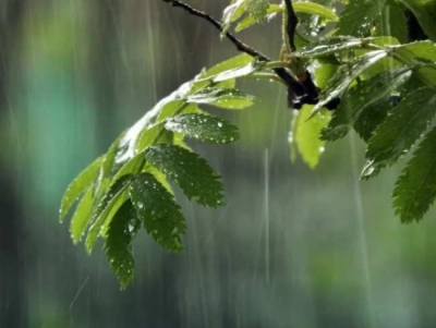 На Тернопільщині прогнозують короткочасні дощі та грози