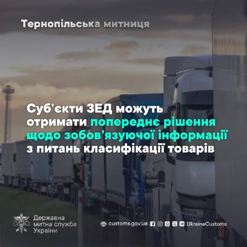 На Тернопільщині бізнес може отримати від митниці попереднє рішення щодо класифікації товарів