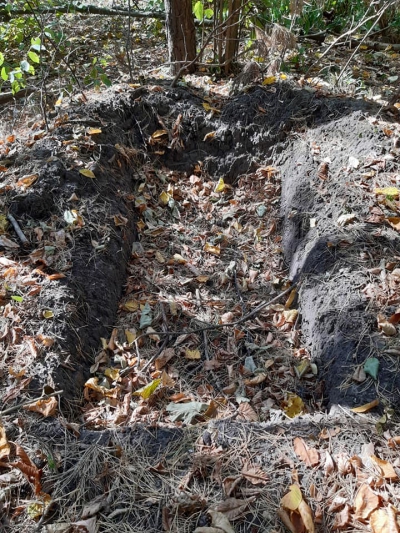 «Залишили по собі 50 ям»: у лісі на Тернопільщині ведуть розкопки чорні археологи