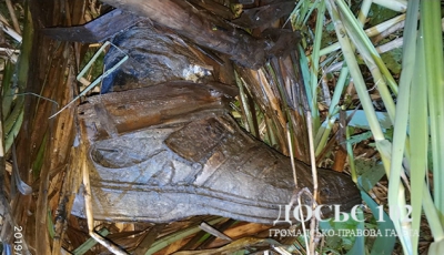 У тернопільському парку “Топільче” рибалки натрапили на скелет людини