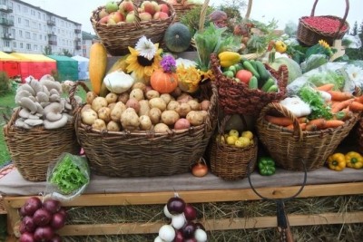 У Тернополі проведуть сільськогосподарські ярмарки