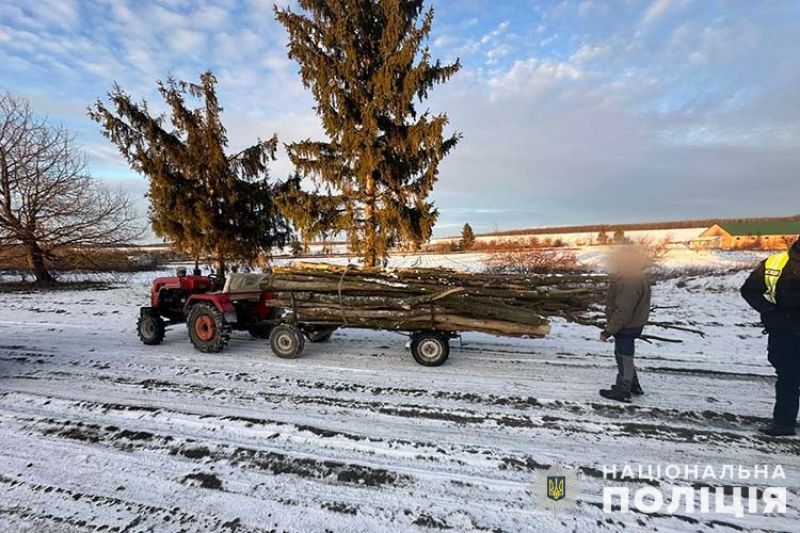 На Тернопільщині &quot;чорні лісоруби&quot; намагалися відкупитися від кримінальної відповідальності