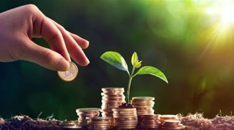 До бюджетів громад Тернопільщини спрямовано понад 347,4 млн грн земельного податку