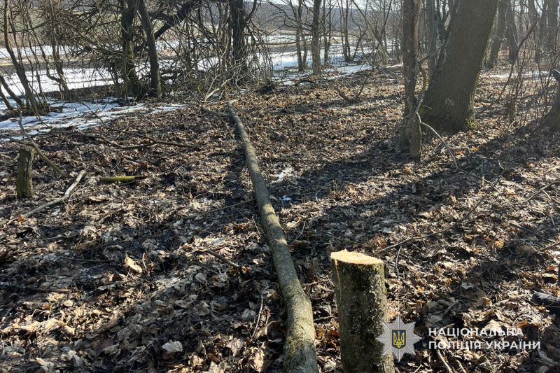 На Тернопільщині чоловік пропонував 8 тисяч гривень працівнику лісництва, щоб уникнути кримінальної відповідальності