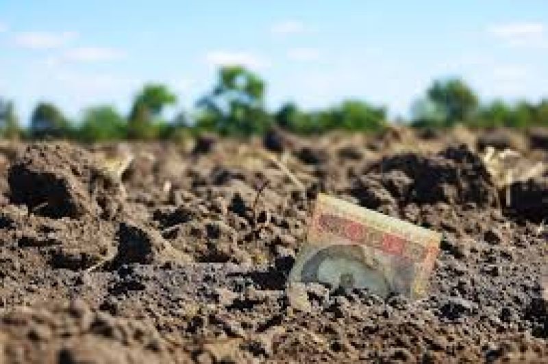 Земельний податок: за минулий рік бюджети громад Тернопільщини поповнилися на 823 млн грн