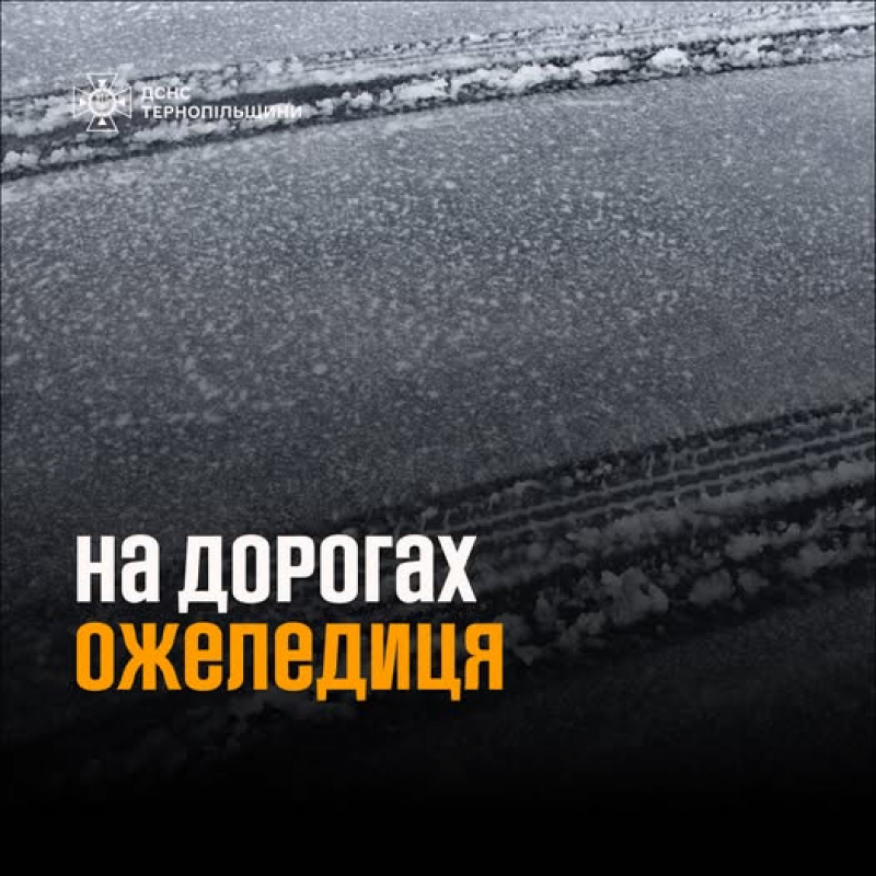 Штормове попередження: на Тернопільщині прогнозують налипання мокрого снігу та ожеледь