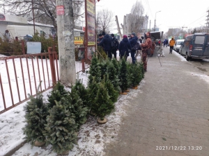 Ялинковий рейд у Тернополі: що виявили правоохоронці?