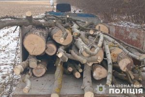 Співробітники водної поліції припинили незаконну порубку дерев на Підгаєччині