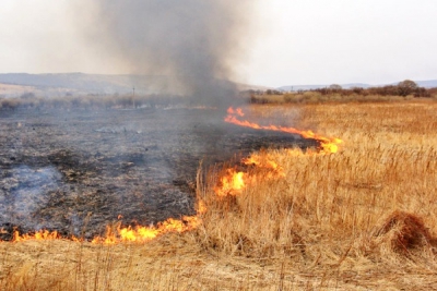 Разом із сухою травою згорів скутер мешканця Тернопільщини