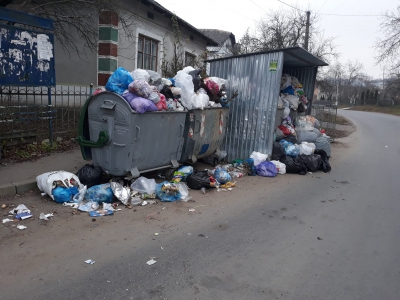 «Село перетворюється на сміттєзвалище»: на Тернопільщині люди скаржаться на купи непотребу