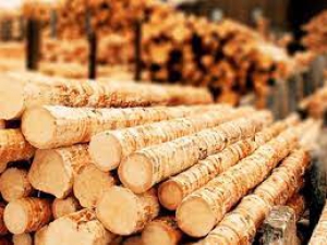 У Тернополі перевіряють деревообробне підприємство