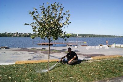 За деревами та газонами на оновленій «Циганці» пильно стежать