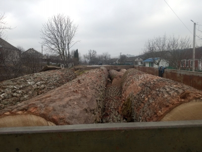 На Тернопільщині судитимуть чоловіка, який пропонував хабар поліцейським