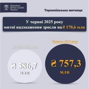 У червні митні надходження на Тернопільщині зросли на понад 170 млн гривень