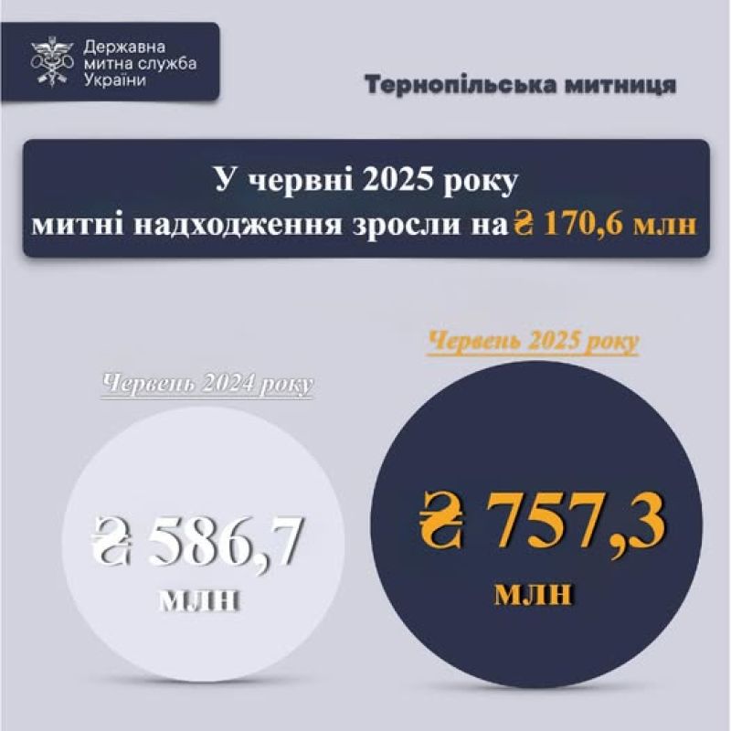 У червні митні надходження на Тернопільщині зросли на понад 170 млн гривень