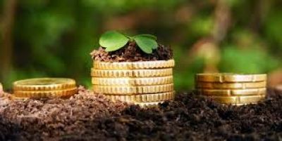 Земельний податок приніс Тернопільщині 684 млн грн за 10 місяців