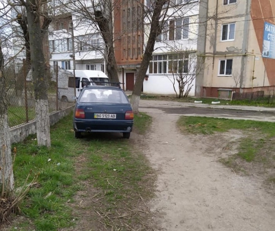 На Тернопільщині водій залишив авто на газоні (фотофакт)