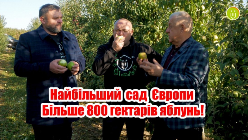 У популярній кулінарній програмі показали, як вирощують яблука в найбільшому саду Європи – ФГ «ГАДЗ» (відео)