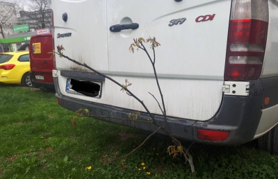 У Тернополі водій припаркував автомобіль, в’їхавши у деревце (фотофакт)