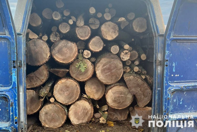 На Тернопільщині поліцейські виявили жителя Хмельниччини, який перевозив деревину без дозвільних документів