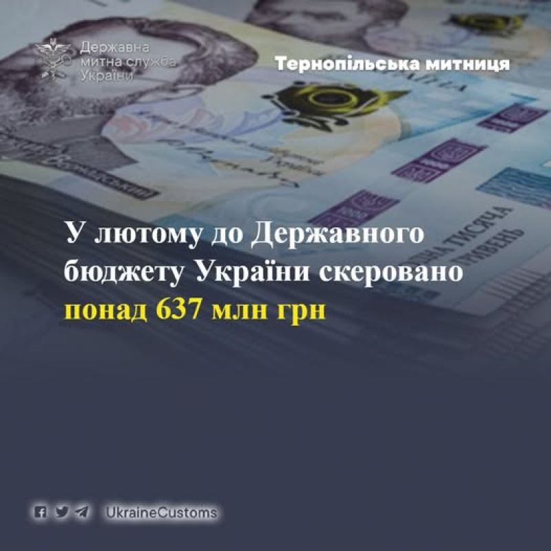 Понад 637 млн грн до бюджету -  результат роботи Тернопільської митниці у лютому