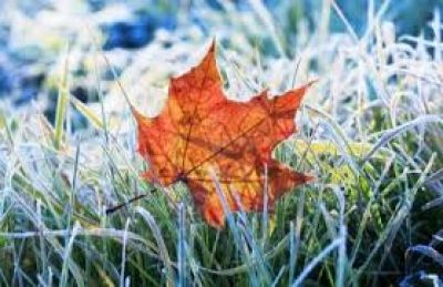 Вночі на Тернопільщині прогнозують до 5 градусів морозу