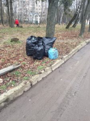 У Тернополі проведуть загальноміську толоку