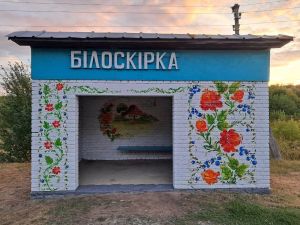 На Тернопільщині автобусну зупинку прикрасили яскравим петриківським розписом