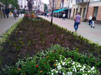 Центр Тернополя &quot;одягнули&quot; у квіти