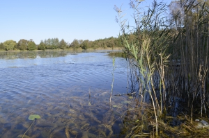 Одна із громад на Тернопільщині стане власником гідроспоруди