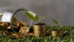 Бізнес Тернопільщини поповнив бюджет на 22,8 млн грн екоподатку