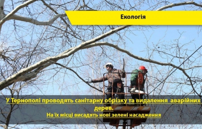 У Тернополі проводять санітарну обрізку дерев