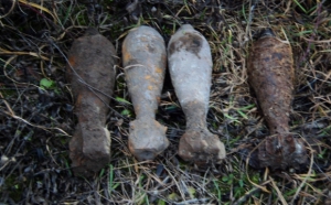 У Тернопільській області знайшли одинадцять мінометних мін