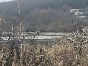 На Тернопільському ставі - чергове браконьєрство