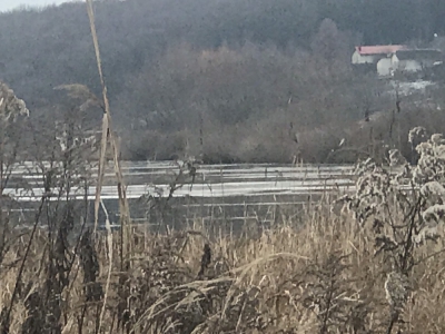 На Тернопільському ставі  - чергове браконьєрство